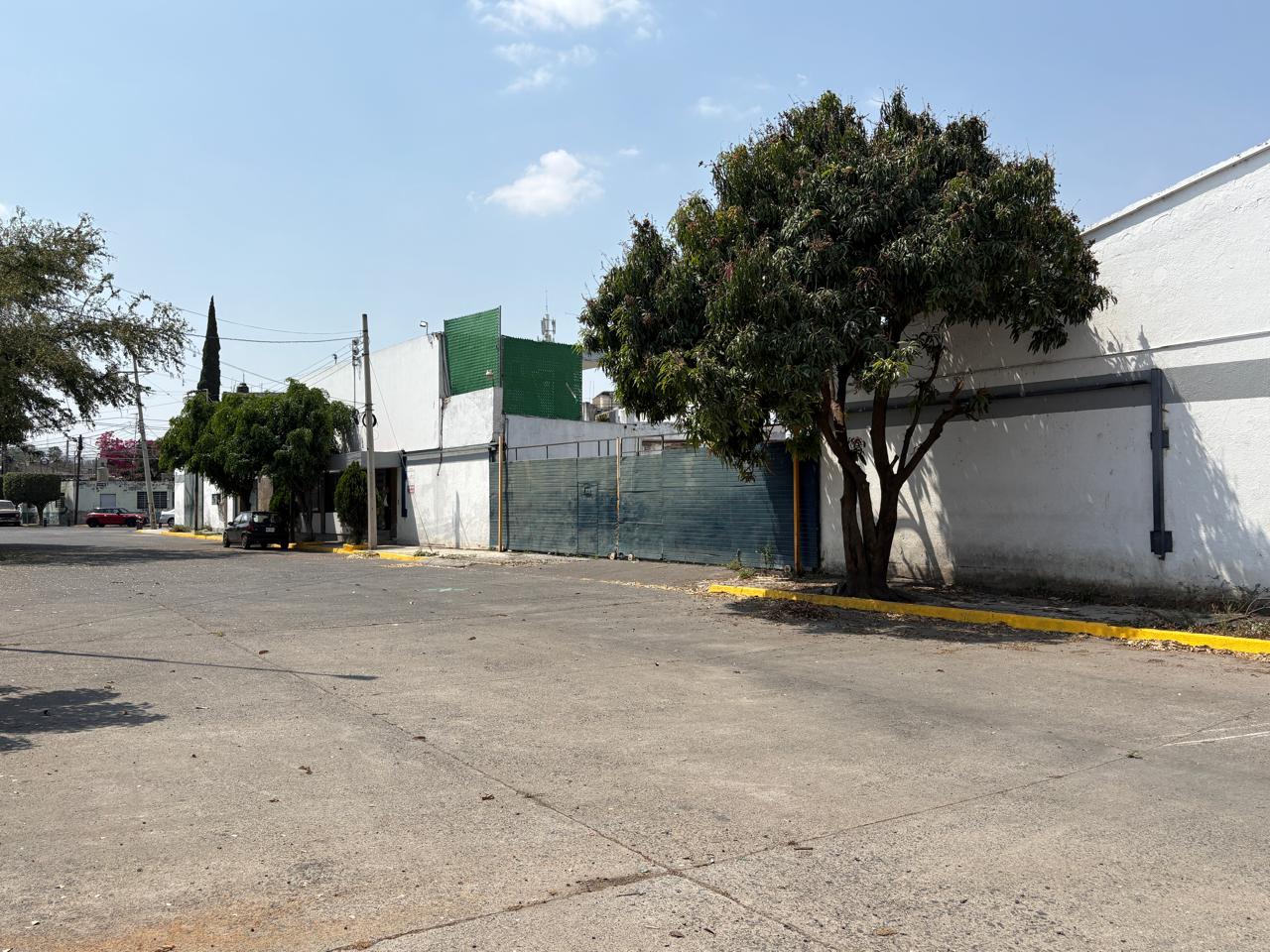 WhatsApp Image 2026-03-13 at 1.29.02 PM (1)